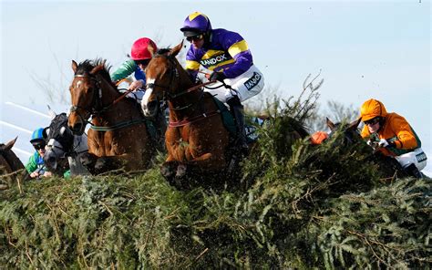 grand national tips racing post|Grand National Tips 2024 .